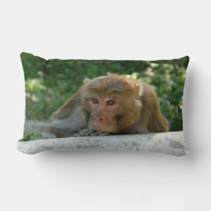 Almofada Lombar Macaco - Avô