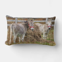 Almofada Lombar Macacos