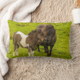Almofada Lombar Mãe e Filhote de Pônei Shetland