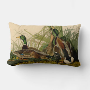 Almofada Lombar Mallard Duck - Pincel de Ave Audubon