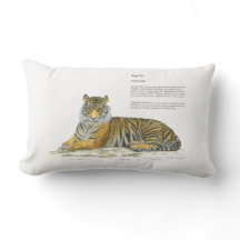 Mão majestosa pintou Tigre Bengala