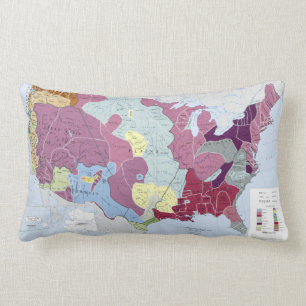ALMOFADA LOMBAR MAPA: INDIANOS AMERICANOS