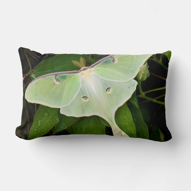Almofada Lombar Mariposa Lunar em Clematite de Carnaby (Frente)