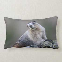 Almofada Lombar marmota de Alaska