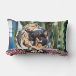 Almofada Lombar Maspalomas Cat