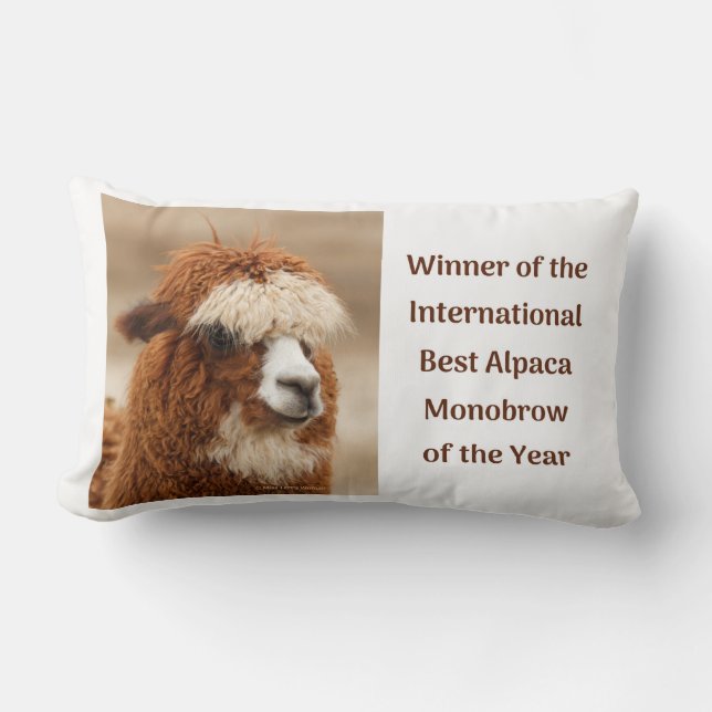Almofada Lombar Melhor Sobrancelha Unica de Alpaca (Frente)