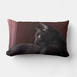 Almofada Lombar Meu Garoto, Charlie Joga Travesseiro lombar 13" x