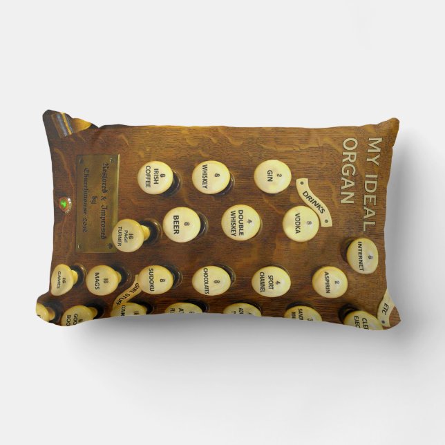 Almofada Lombar Meu travesseiro lombar ideal para órgãos (Frente)