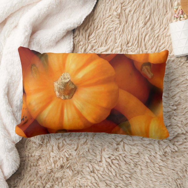 Almofada Lombar Mini Pumpkins Laranja E Gourds Caem Foto (Cobertor)