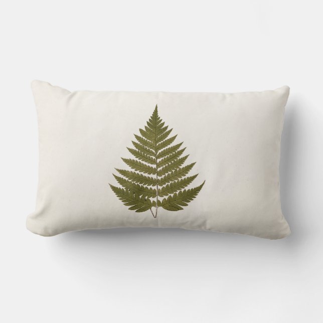 Almofada Lombar Modelo da folha da samambaia da verde azeitona dos (Frente)
