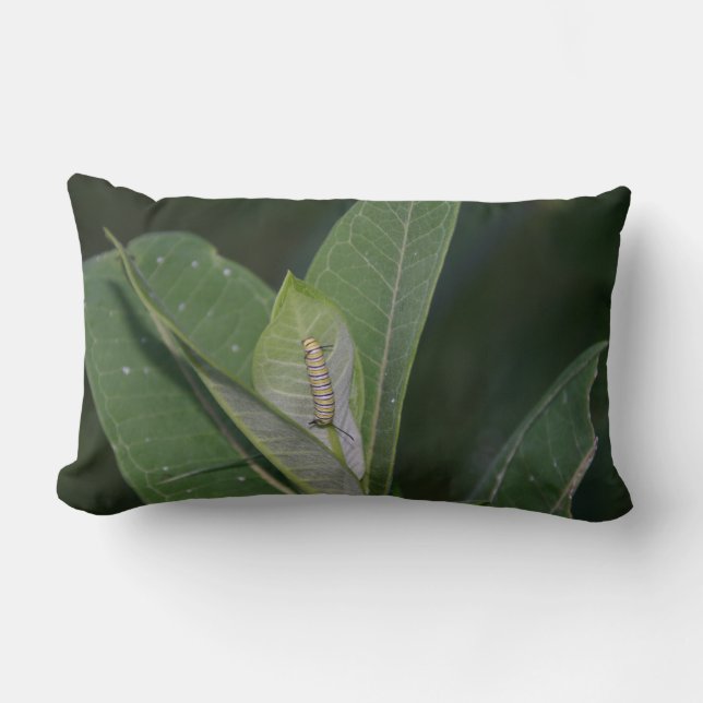 Almofada Lombar Monarch Caterpillow (Frente)