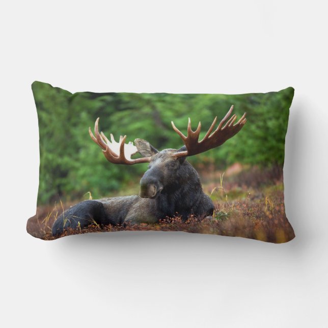 Almofada Lombar Moose (Frente)