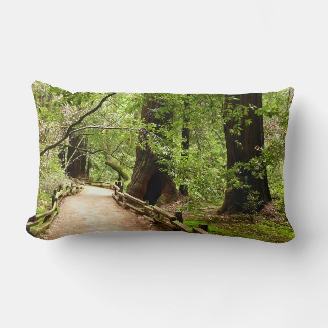 Almofada Lombar Muir Woods Path II - Fotografia natural (Frente)