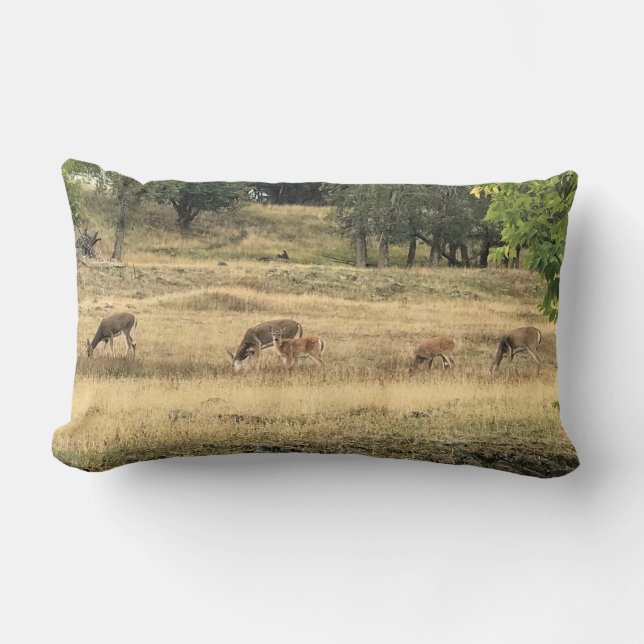 Almofada Lombar Mule Deer em um campo, Joseph, Oregon (Frente)