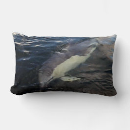 Almofada Lombar Nadação comum de golfinhos reversível