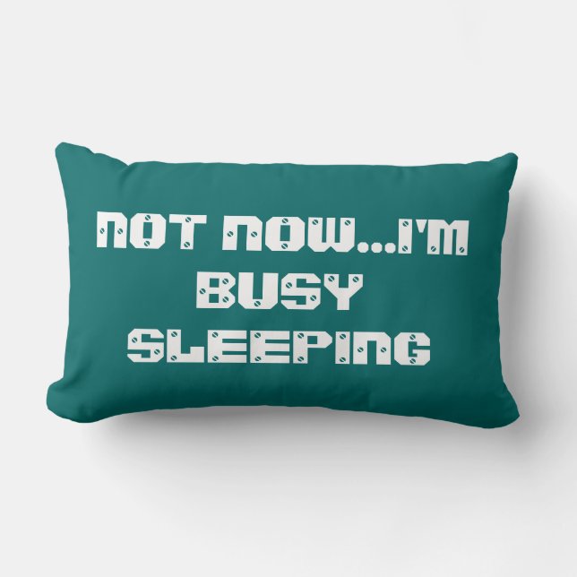 ALMOFADA LOMBAR NÃO AGORA... ESTOU OCUPADO A DORMIR (Frente)