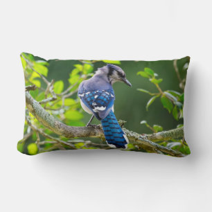 Almofada Lombar Natureza Fotografia Shy Blue Jay Travesseiro lomba