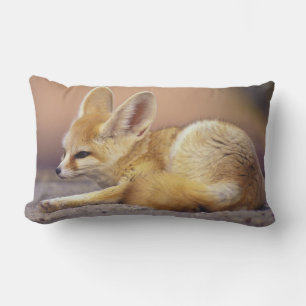 Almofada Lombar Norte da África. Feneco Fennecus zerda)