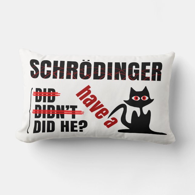 Almofada Lombar O Dillema de Schrodinger (Frente)