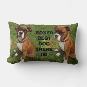 Almofada Lombar O MELHOR CÃO do PUGILISTA LÁ É travesseiro