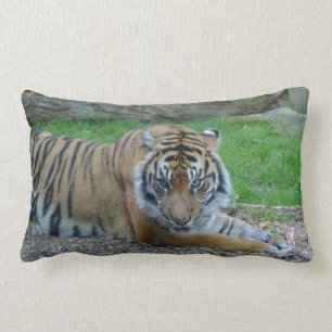Almofada Lombar O tigre do pai