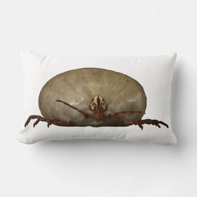 Almofada Lombar O tiquetaque (Frente)