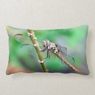 Almofada Lombar O Travesseiro Dragonfly