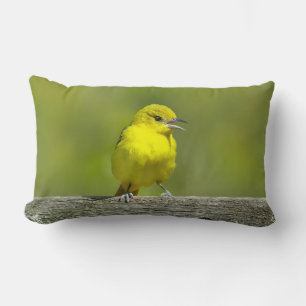 Almofada Lombar Orchard Oriole - Fotografia Original