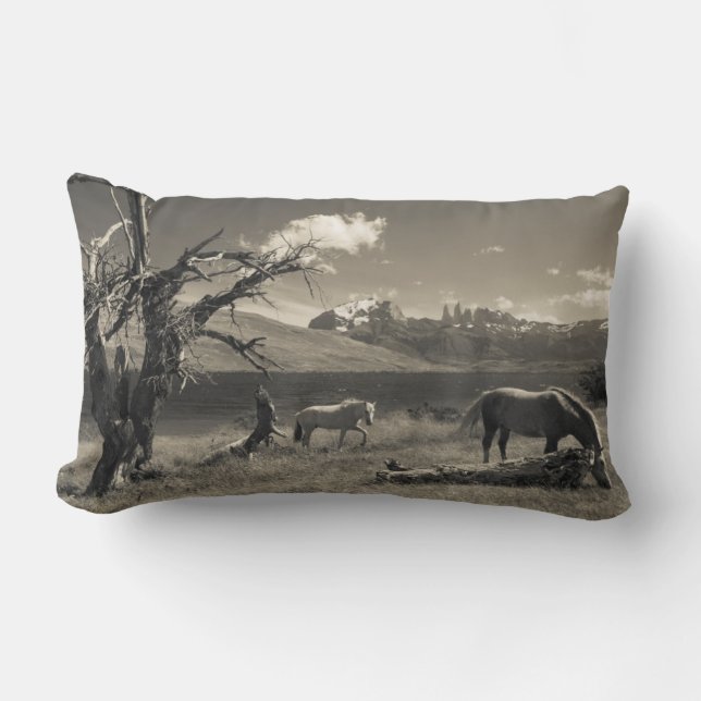 Almofada Lombar Paisagem com cavalos (Frente)