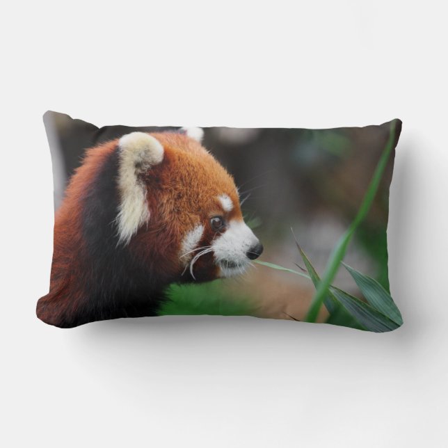 Almofada Lombar Panda vermelha (Frente)
