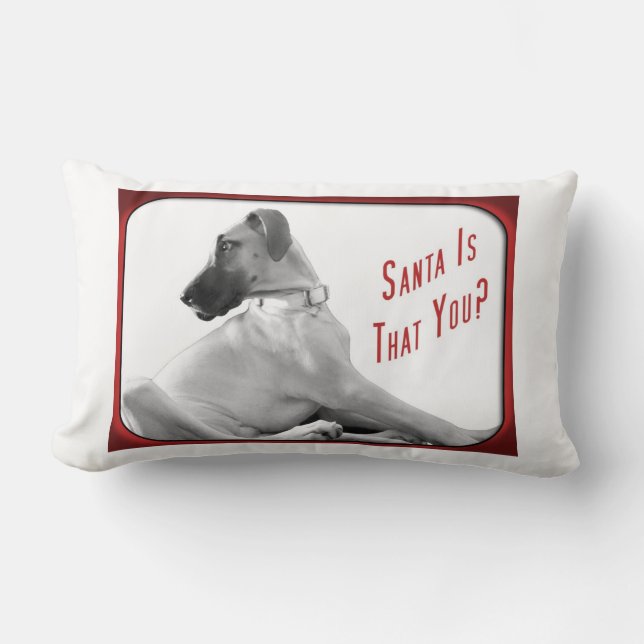 Almofada Lombar Papai noel que você (Frente)