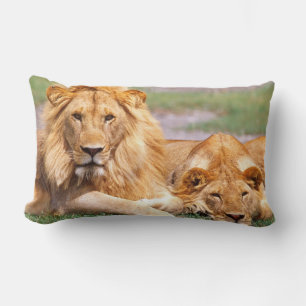 Almofada Lombar Par de Leões Africanos, Panthera leo, Tanzânia