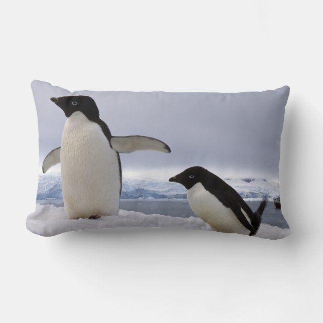 Almofada Lombar Par de pinguins Adelie Antártida (Frente)