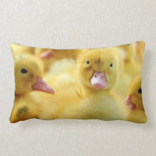 Almofada Lombar Patos pequenos