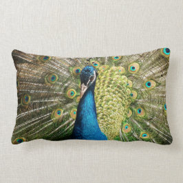 Almofada Lombar Peacock