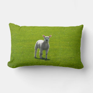 Almofada Lombar Pequena Lambe
