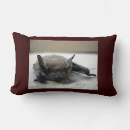 Almofada Lombar Pequeno morcego (Myotis lucifugus)