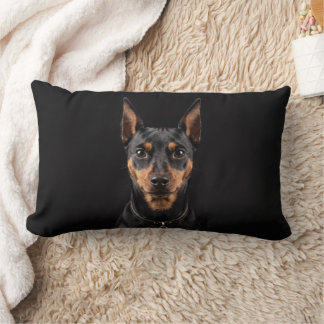 Almofada Lombar Pinscher Miniatura isolado em fundo preto