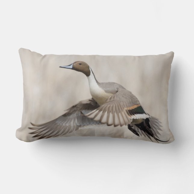 Almofada Lombar Pintail Drake em Voo (Frente)