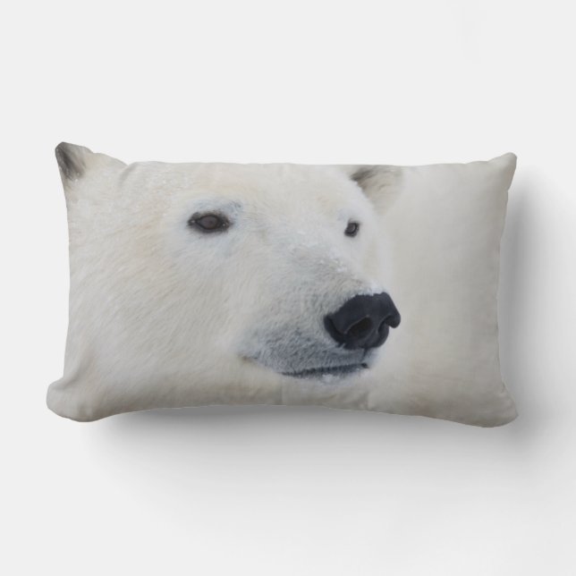 Almofada Lombar Polar Bear Churchill (Frente)