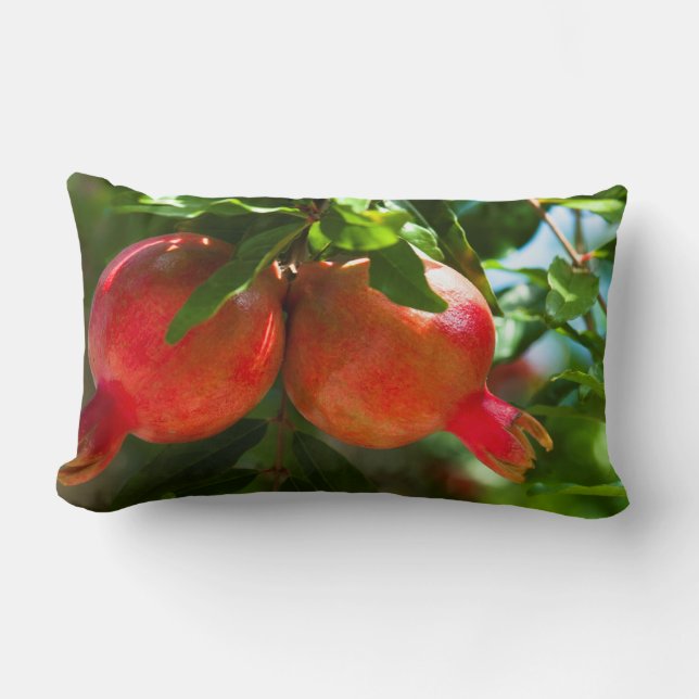 Almofada Lombar Pomegranato (Frente)