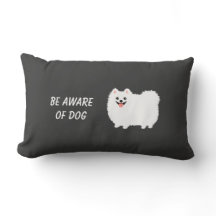Pomeranian branco macio bonito - esteja ciente do