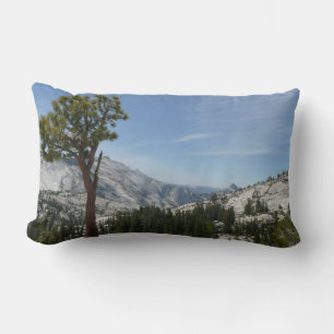 Almofada Lombar Ponto Olmsted I no Parque Nacional de Yosemite