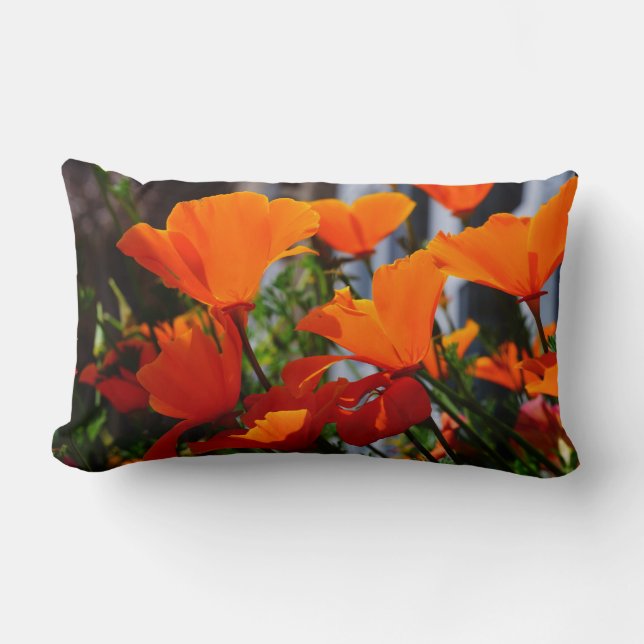 Almofada Lombar Poppies! (Frente)
