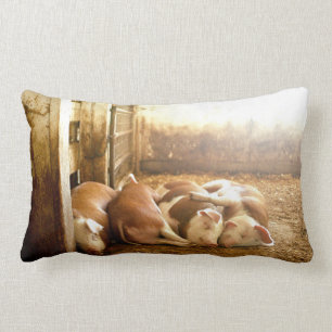 Almofada Lombar Porcos Snuggling das imagens   de Getty