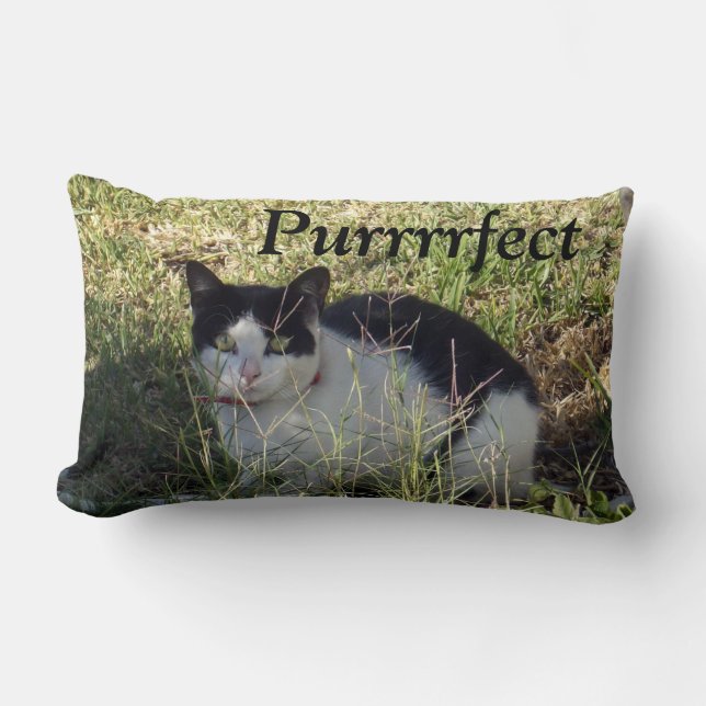 Almofada Lombar Purefeito De Gatos Pretos E Brancos, (Frente)