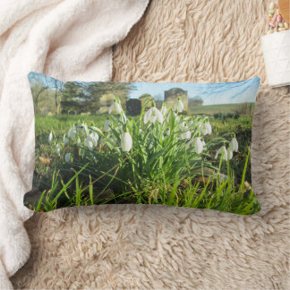 Almofada Lombar Queda de neve em um quintal totalmente sangrado -