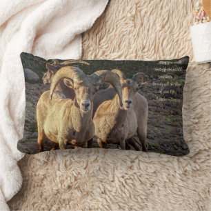 Almofada Lombar Ram Ovino E Ovelhas Curiosas Do Deserto