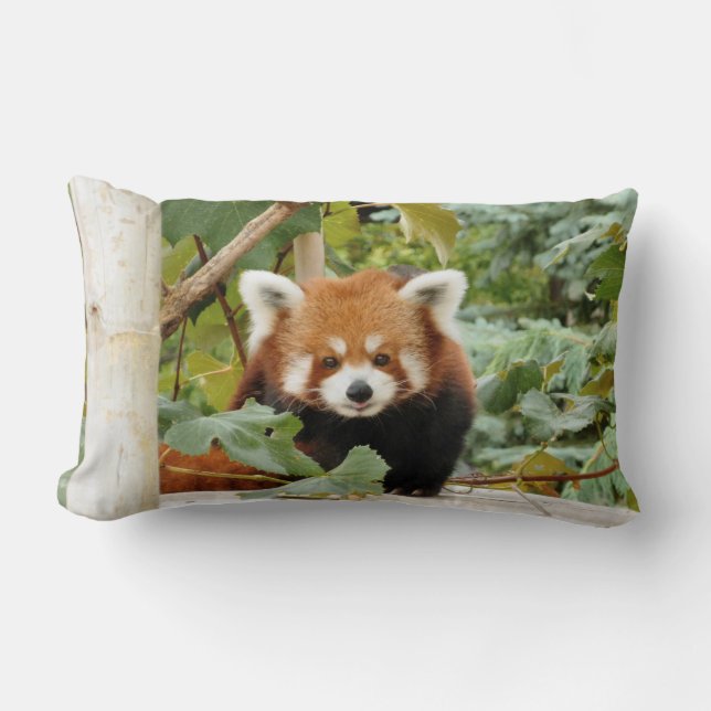 Almofada Lombar Red Panda (Frente)
