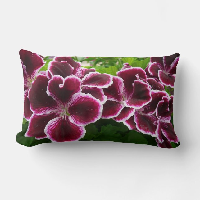 Almofada Lombar Regal Geranium Flores Elegantes Maroon Floral Lugg (Frente)